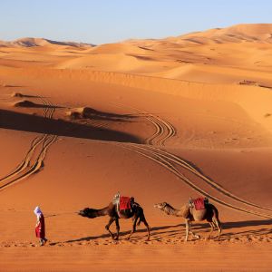 Merzouga – Fatima Sahara Travel